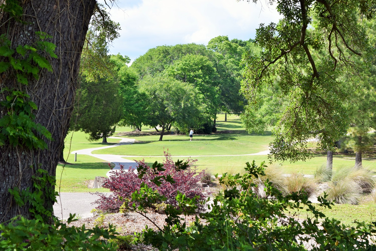 Tranquil golf hole view through mature trees showcasing the course's natural landscaping with colorful flowering shrubs and cart paths winding through the terrain.