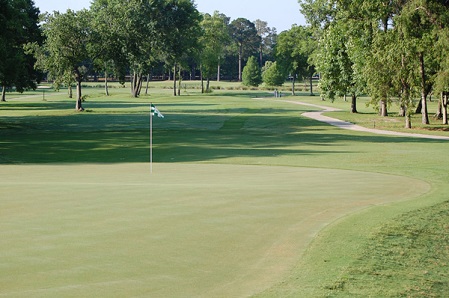 A pristine putting green with flagstick prominently displayed, featuring smooth contours and surrounded by well-maintained rough and mature trees.