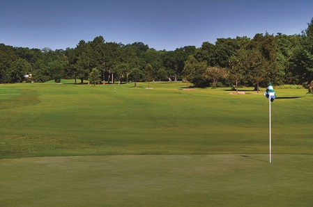 A beautiful putting green with white flag stick set against a backdrop of dense mature trees under clear blue skies.