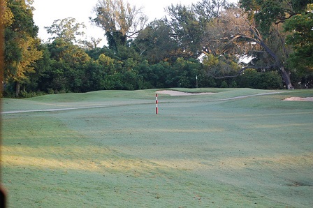 A pristine putting green with red flag stick set against a backdrop of mature trees and natural landscaping.
