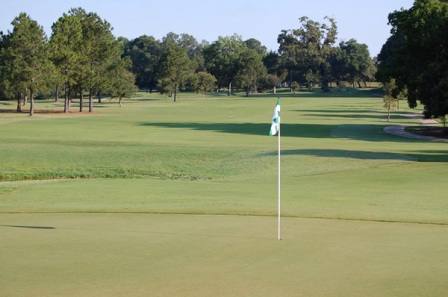 A well-maintained putting green with flagstick in the center, surrounded by lush fairway grass and mature trees in the background.