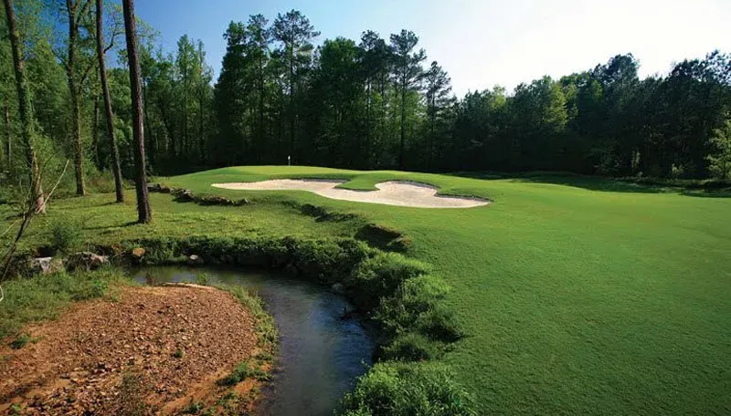 Immaculate putting green with natural creek hazard cutting through the hole, surrounded by sand bunkers and mature forest under bright blue skies.