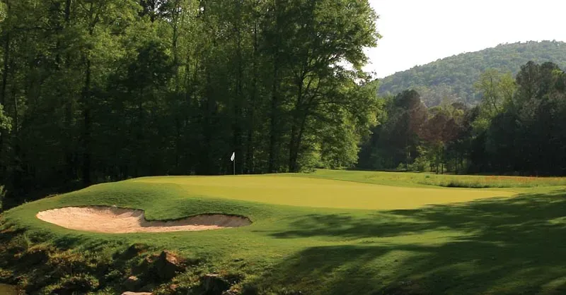 Elevated green with prominent sand bunker and flag stick, framed by mature trees and rolling forested hills in the background.
