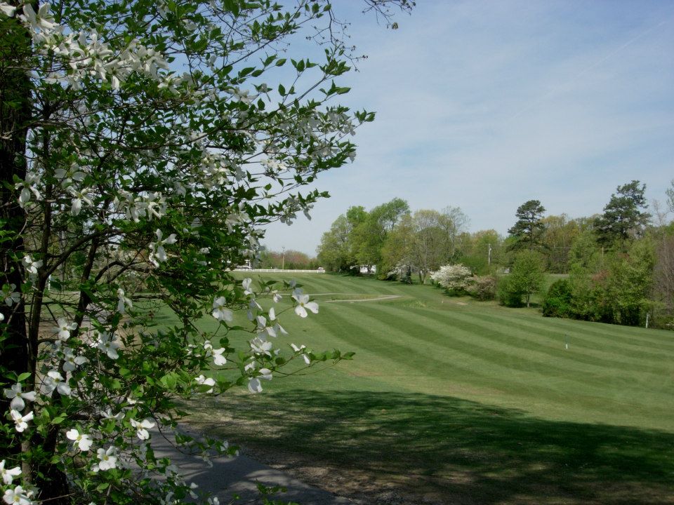 A golf hole fairway framed by blooming white dogwood flowers in the foreground with well-maintained striped grass and mature trees creating a scenic parkland setting.
