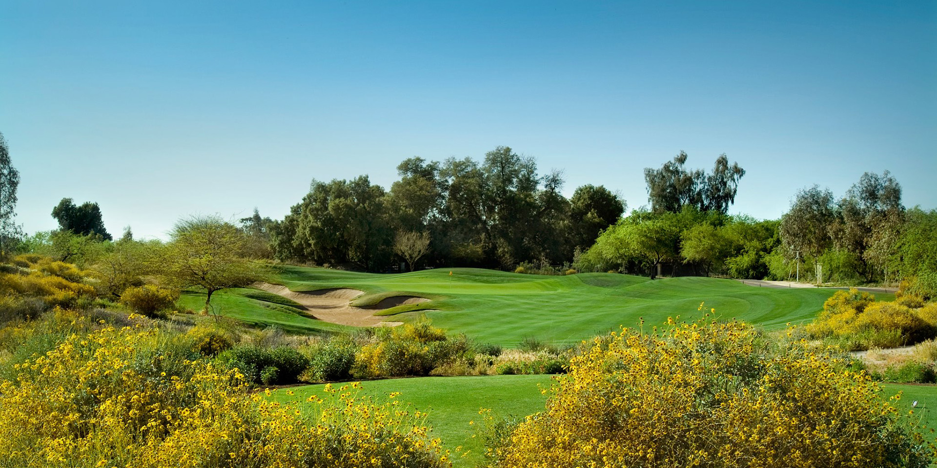 Daytime view of Legacy Golf Club showing lush green fairways with sand bunkers and native desert vegetation with yellow wildflowers under blue skies.