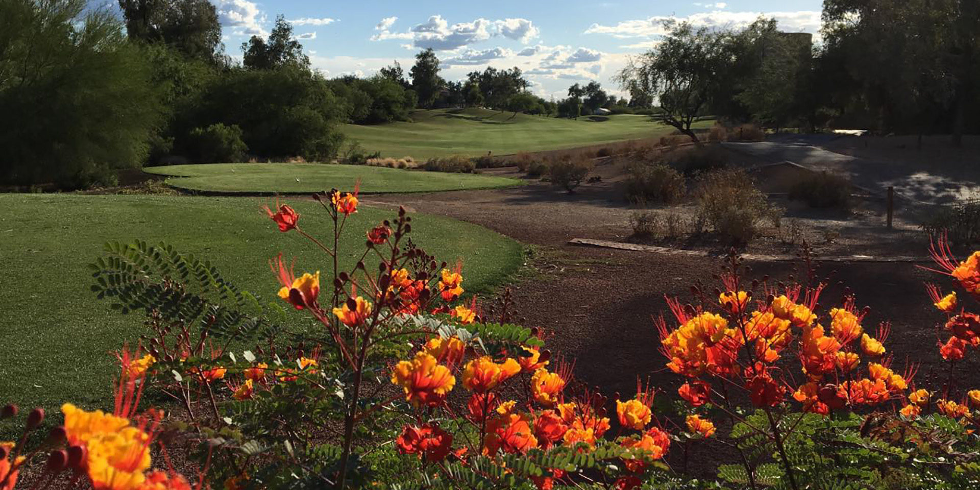Beautiful Legacy Golf Club landscape showing vibrant orange and red flowering desert plants in the foreground with golf course fairways and trees in the background.