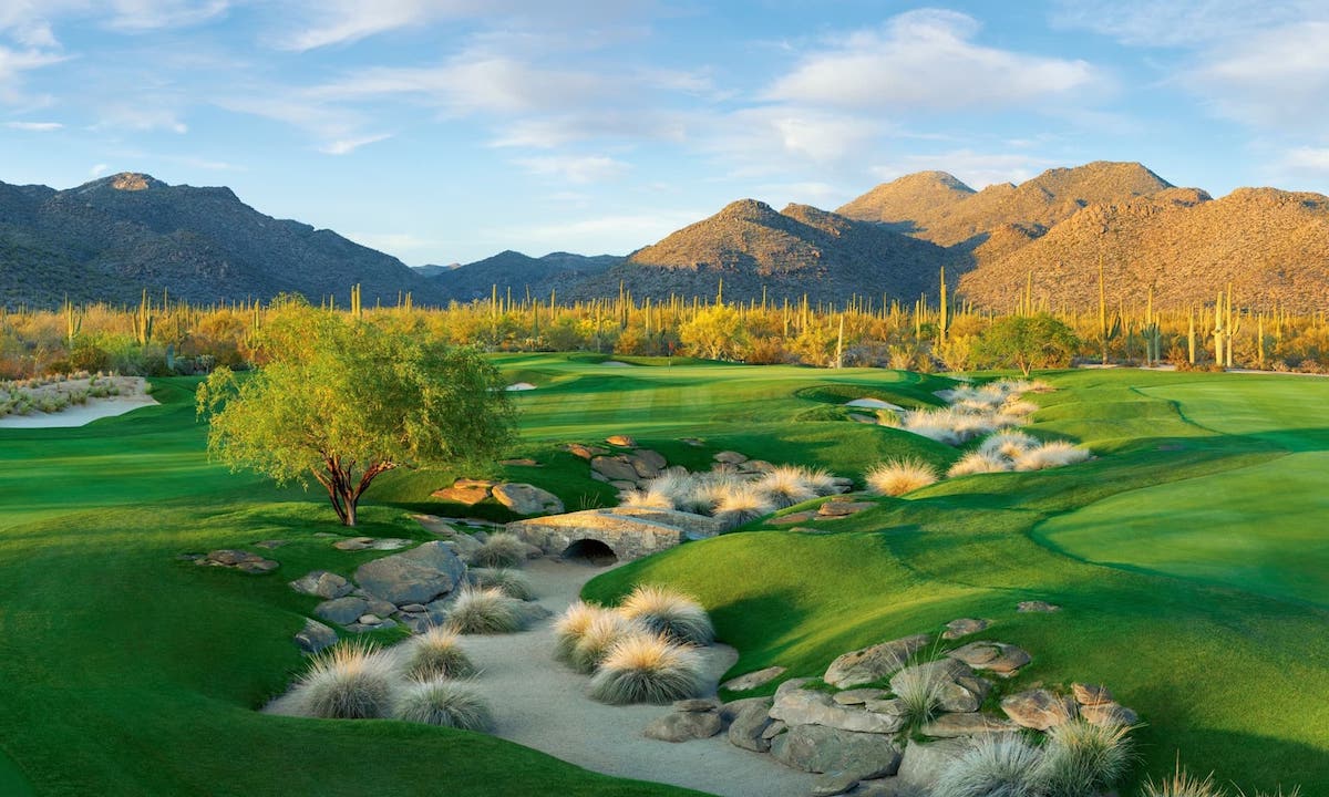 Dramatic desert golf course hole showcasing a natural wash with ornamental grasses and boulders cutting through emerald green fairways, framed by authentic Sonoran Desert vegetation and distant mountain ranges.