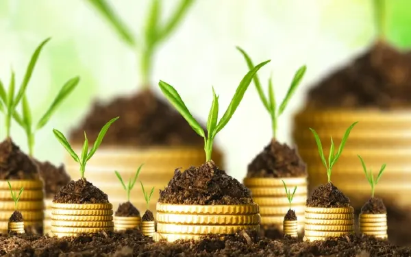 Financial Freedom for Farmers: Our Innovative Financing Solutions