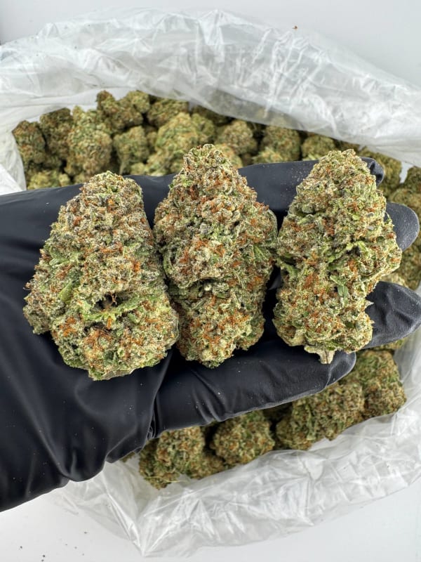 GLN Lemon Bacio 41 🍋🍫⛽️🧬