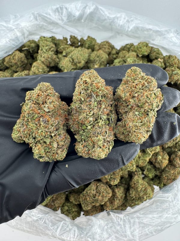 BW Blueberry Wok 🫐🥤🍭🍬🔥🧬