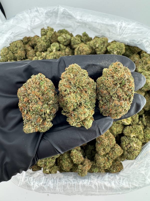 BZKT Blueberry Zkittles 🫐🍬🌈💨🧬
