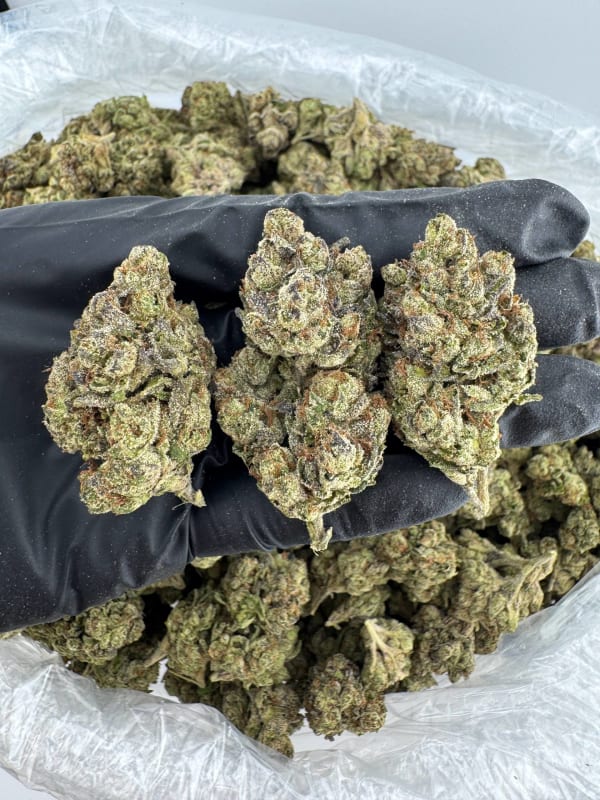 A753 Blue Benji Runtz 🫐💸🍬💨🧬