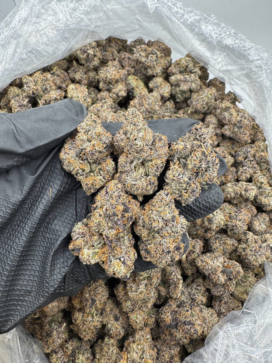 Candy Payday by CB 🍭🍬💸🏂🧬