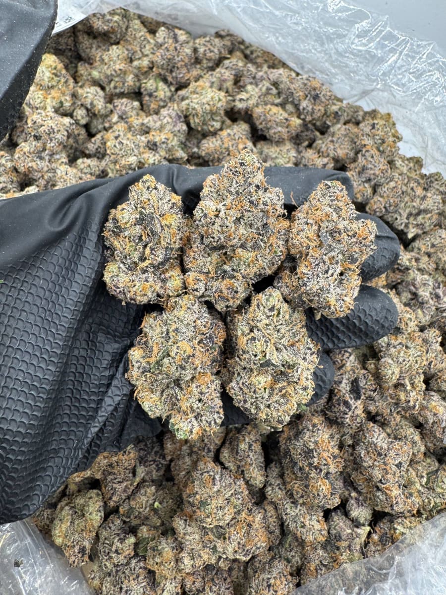 Lemon Cherry GumDropz by CB 🍋🍒🍭🍬🏂🧬