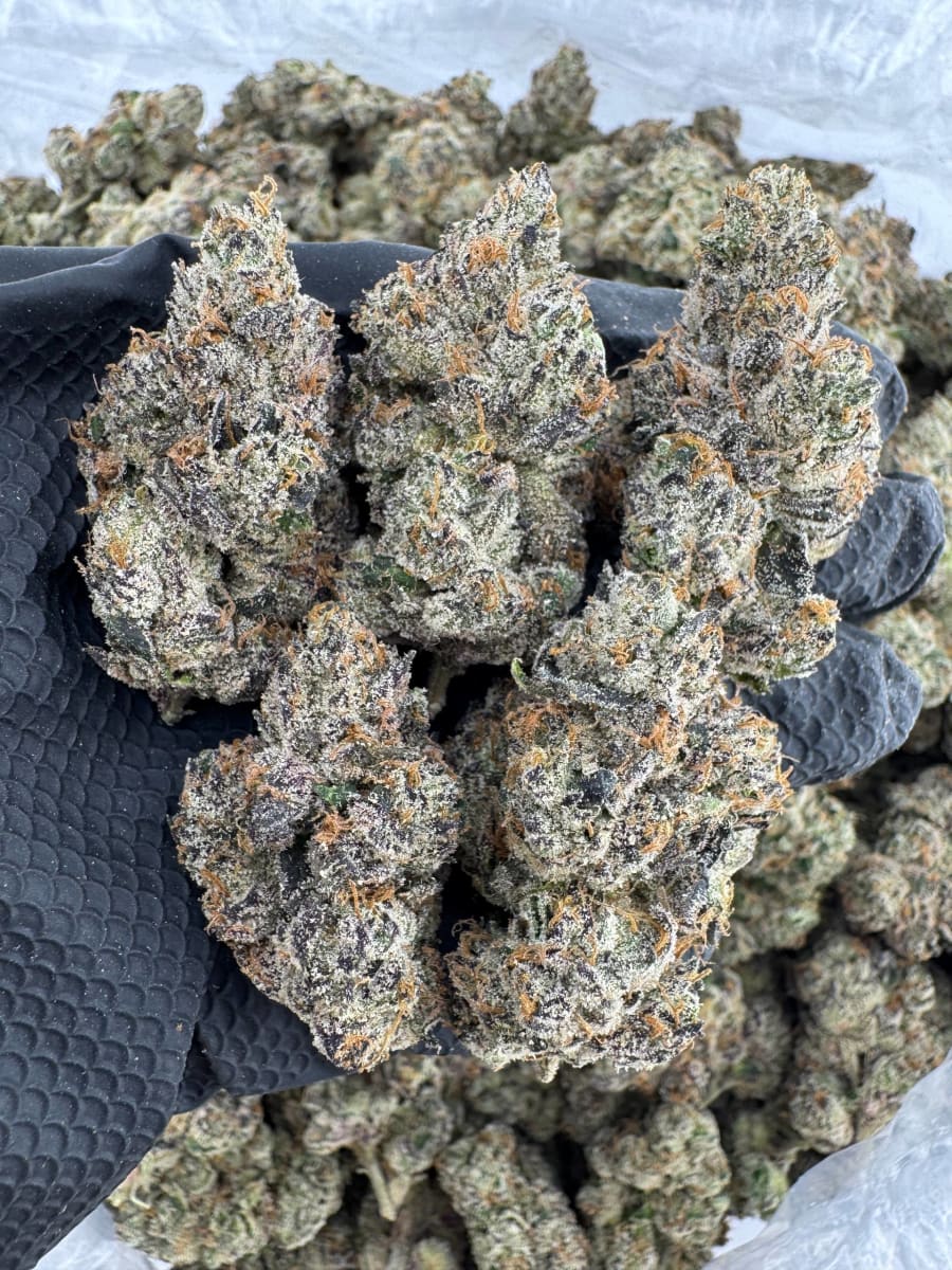 PA589 Yuzu Cherriez 🍋🍒🍭🍬🧬