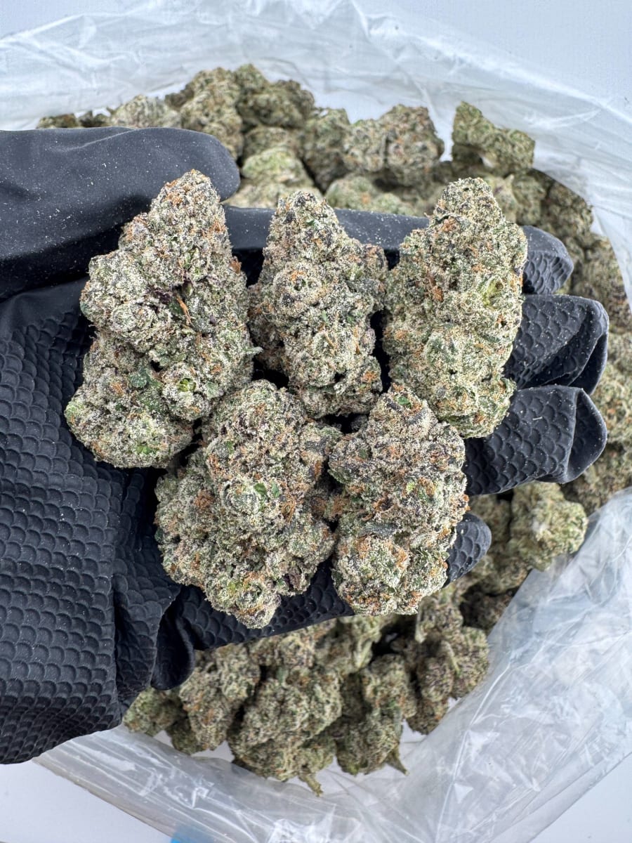 DOM22 • BREAKDOWN • Strawberry Candy Runtz 🍓🍭🍬