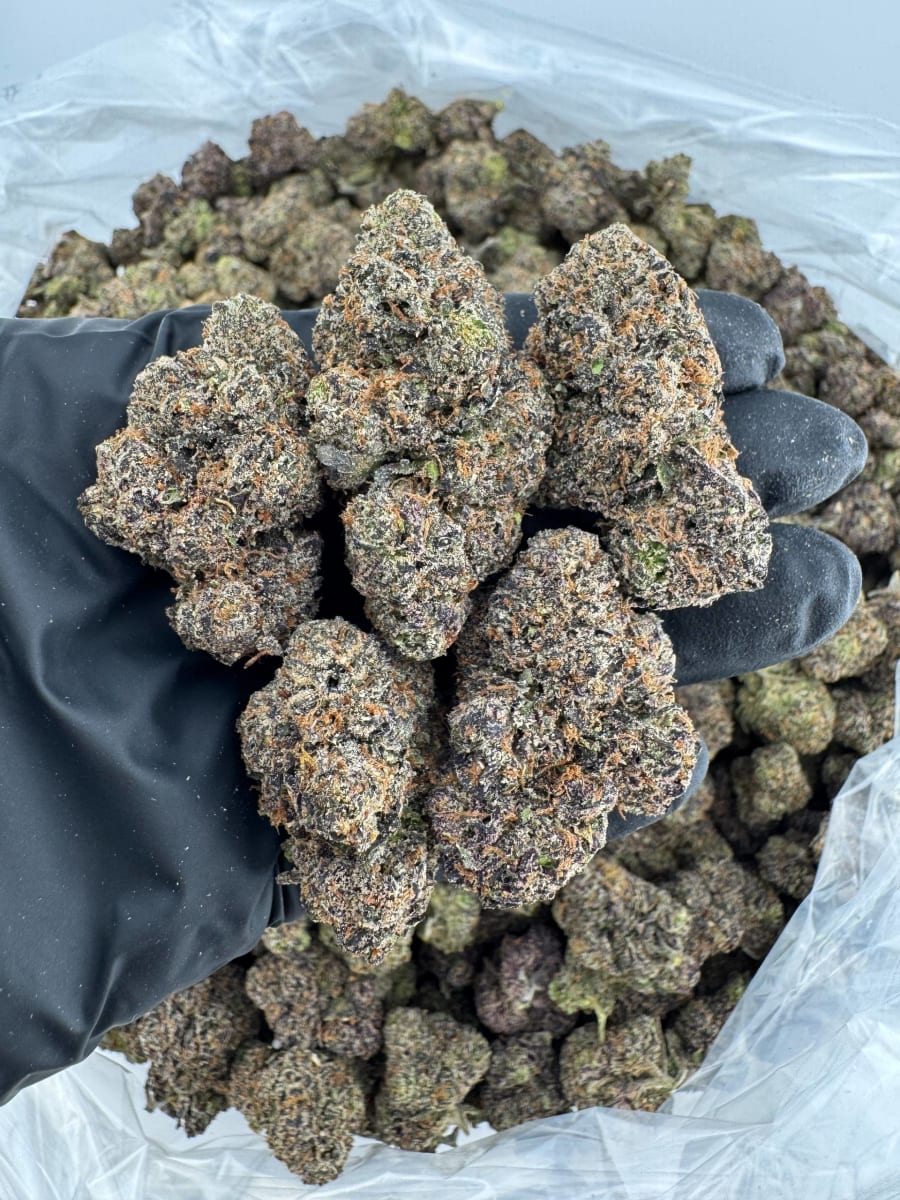 Cherry Biscotti 🍒⛽️🍭