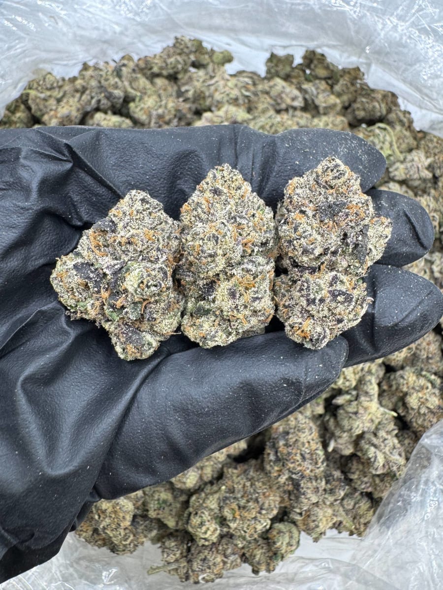 D1002 Fundip Runtz 🍭🍬💯🧬