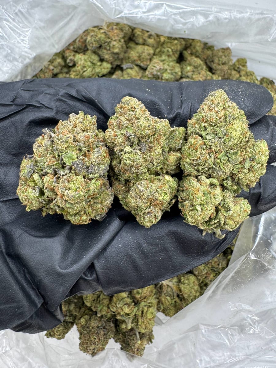 DS757 Lemon Cherry Gumbo 🍋🍒🍭🍬