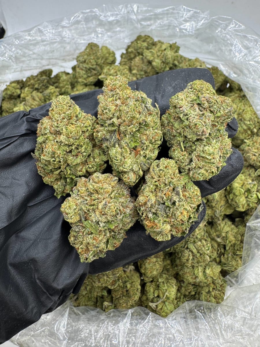 DS759 Candy Warheadz 🍬🤯🍭💯