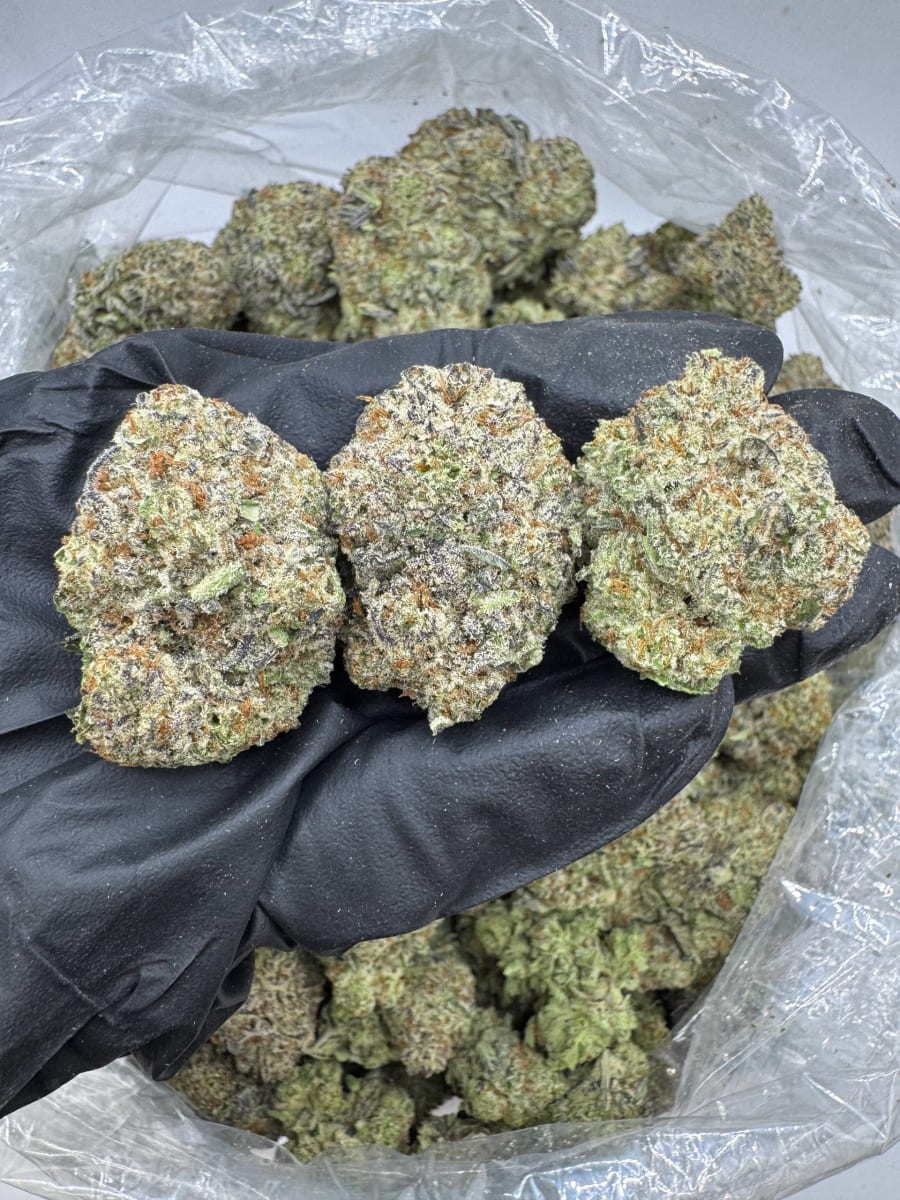 DS778 Frozen Zkittles ❄️☃️🏂💠