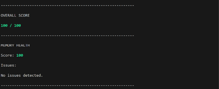 Memory Leak Risk Analysis