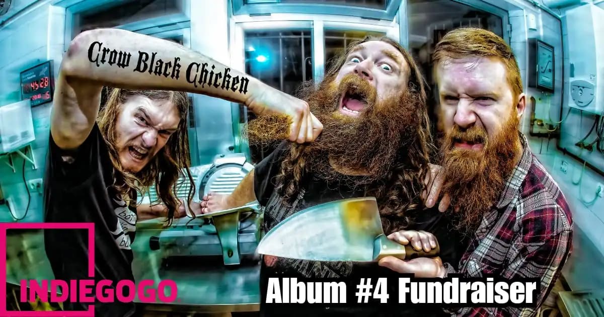 Crow black chicken band photo