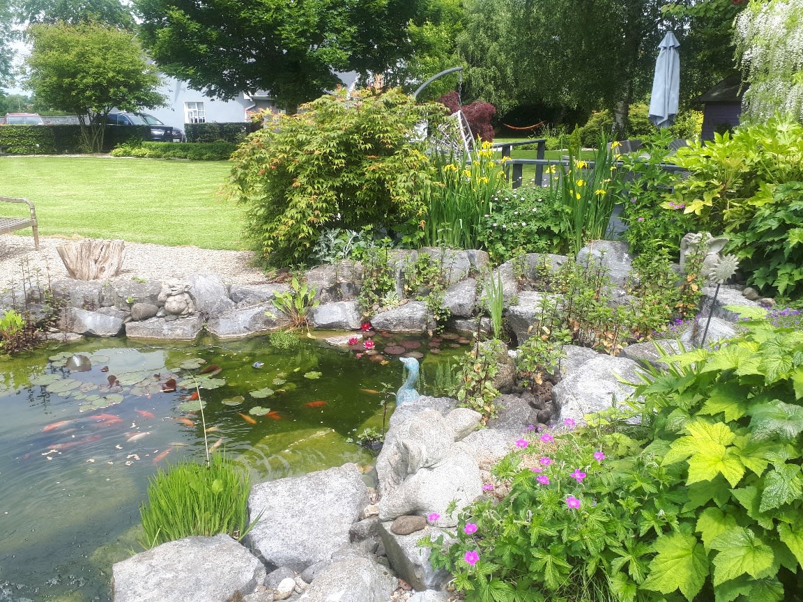 Garden pond design for a customer in Tipperary