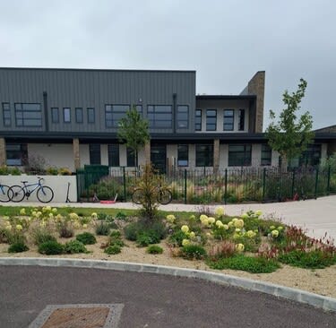 landscaping in front of a school