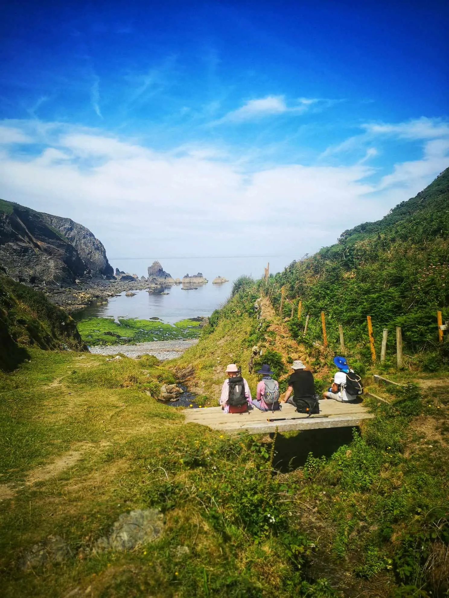 People sitting out while camping