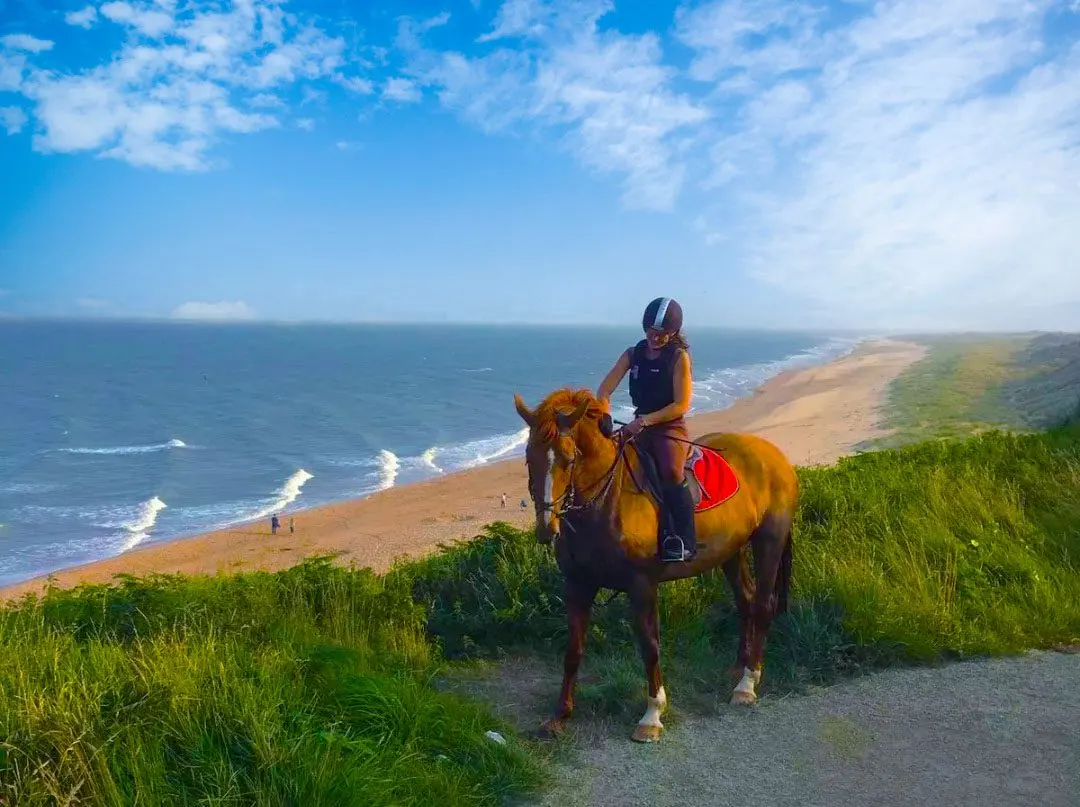 Lady-on-Horse-at-Beach-1
