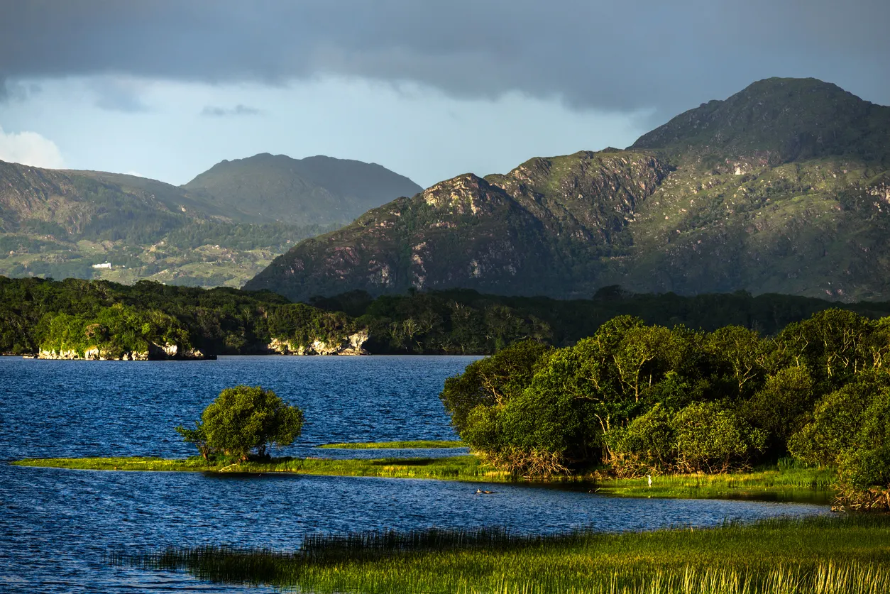 Amazing nature of Ireland in Killarney National Park, near the town of Killarney, County Kerry