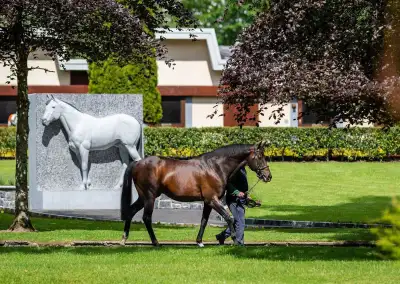 National Stud Ireland