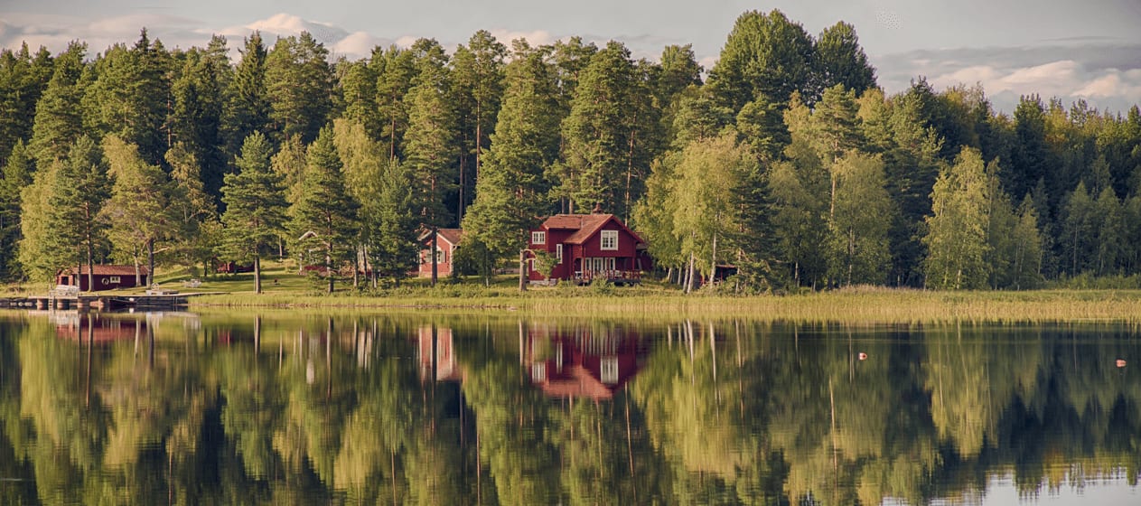 Swedish Nature Picnic
