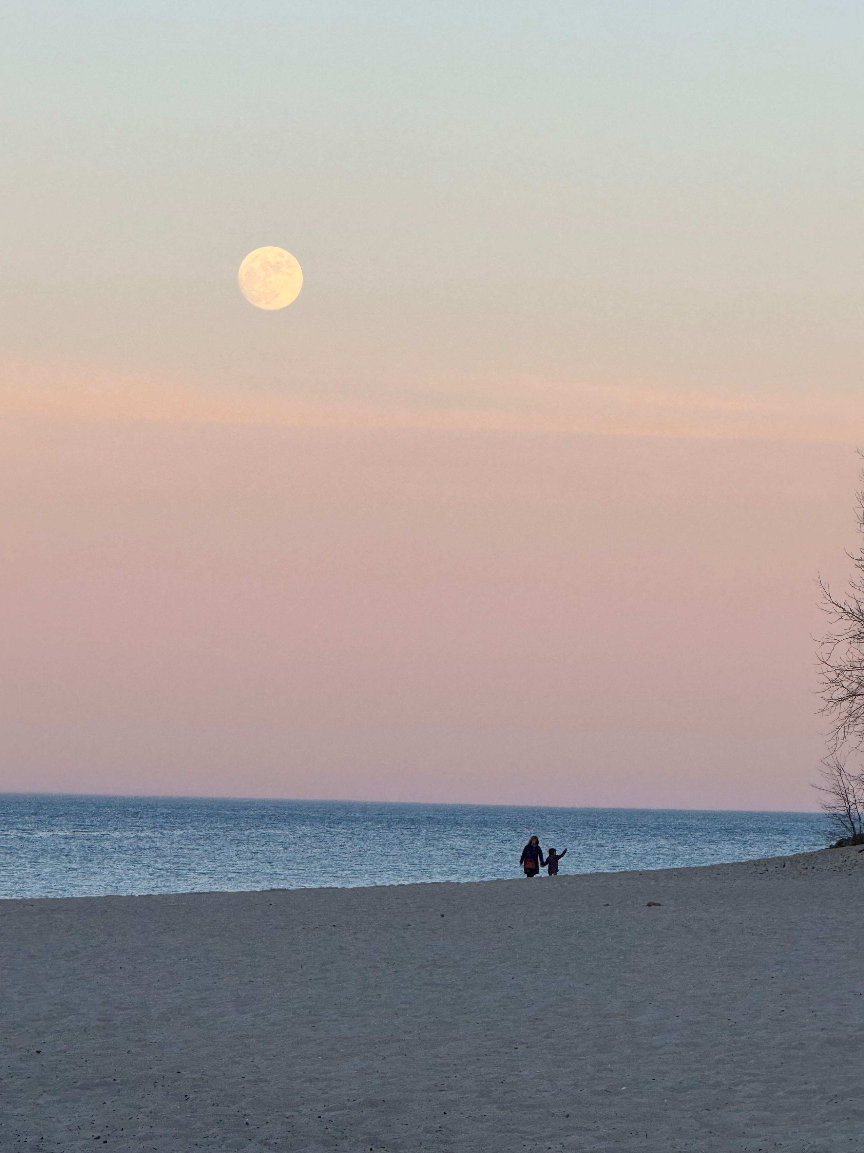 Moonlit Coastal Walk in Helsingborg