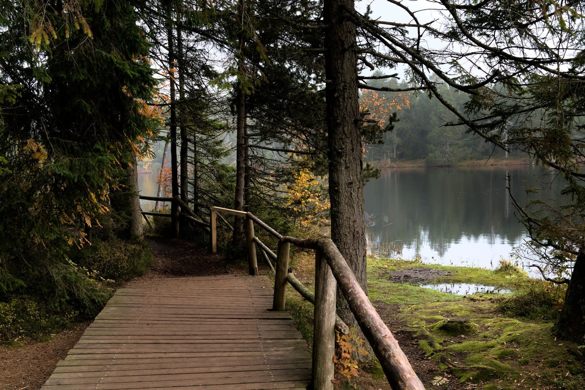 Stockholm Nature Reserve Trail