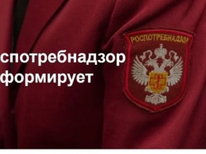 Вши атаковали детей в Крыму и Севастополе