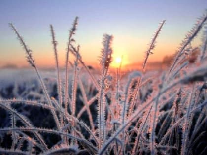 Погода на 7 января: в Севастополе и Крыму похолодает