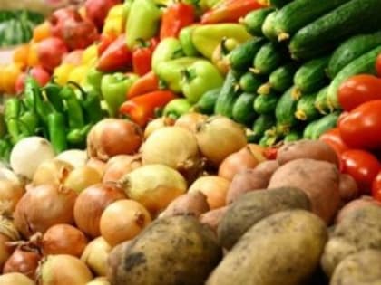 Всемирный день здорового питания