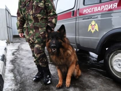 В Ленинском районе снова эвакуировали все школы и часть детских садов