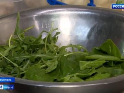 В Крыму рассказали, как прийти в норму после праздников