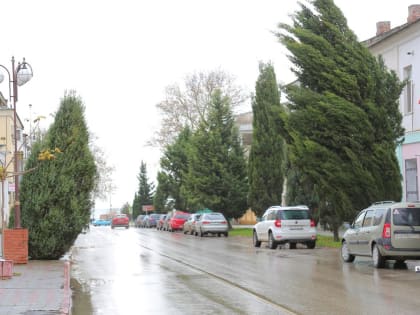 На улице Советской дерево наклонилось в сторону проезжей части (фото)