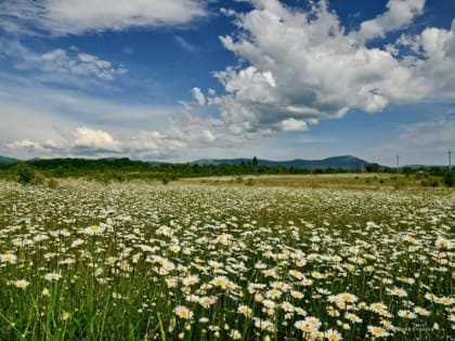 Погода на 7 августа: в Крыму и Севастополе осадков не прогнозируется