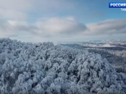 В Крыму объявили штормовое предупреждение из-за дождей и снега