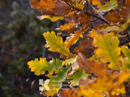 Тепло продержится в Крыму до понедельника