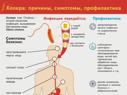 ВОЗ предупредила о высоком риске распространения холеры в мире