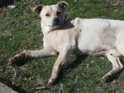 Раскрыто дело 24-летней давности