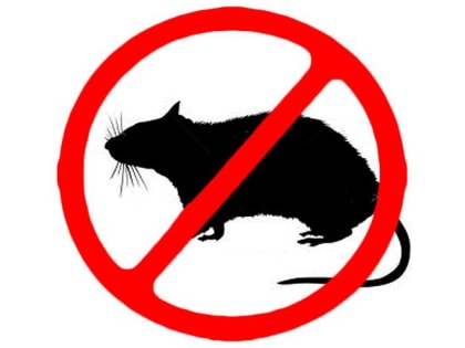 Внимание! Подозрение на бешенство