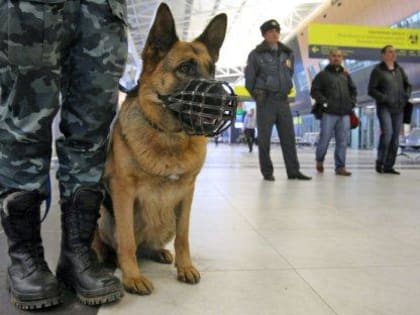 В первый учебный и рабочий день: в Ленинском районе эвакуировали все школы и детские сады