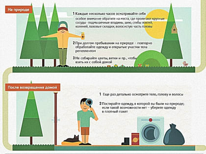 Роспотребнадзор подводит итоги сезона активности клещей. Октябрь – время вакцинации против клещевого энцефалита
